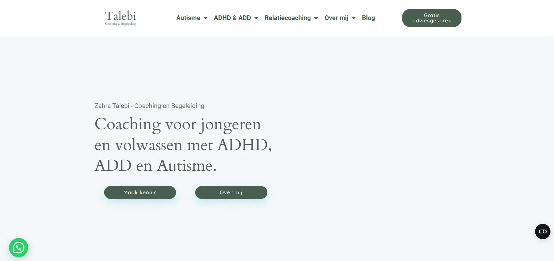 Website van Talebi Coaching en Begeleiding